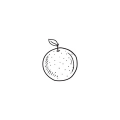 Juicy tangerine with leaf in black isolated on white background. Hand drawn vector sketch illustration in doodle engraved vintage line art style. Juicy winter fruit, citrus, bergamot, tea engredient