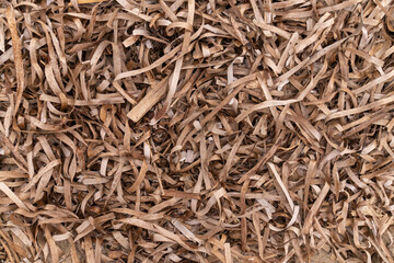 close up of a pile of leaves