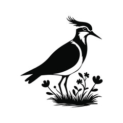 A clean and elegant lapwing silhouette rendered in a minimalist vector style, set against a crisp white background. The design captures the distinct form of the lapwing with simple.