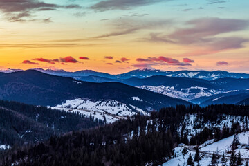 Landscapes - Forest - Europe, Romania, Suceava region 