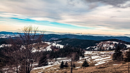 Landscapes - Forest - Europe, Romania, Suceava region 