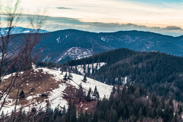 Landscapes - Forest - Europe, Romania, Suceava region 