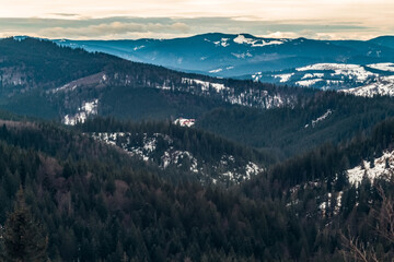 Obraz premium Landscapes - Forest - Europe, Romania, Suceava region 
