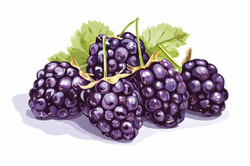 Fresh Purple Grapes with Leaves on White Background for Healthy Eating