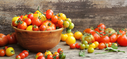 Ripe colored tomatoes in a wooden bowl. Colorful heirloom tomatoes. Fresh seasonal vegetables, natural healthy foods. Ripe red tomatoes