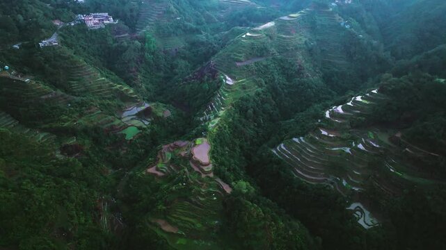 Aerial view of Banaue Rice Terraces, Ifugao, Philippines.
these ancient rice fields cascading down the mountainside, a testament to the ingenuity and perseverance of the Ifugao people
