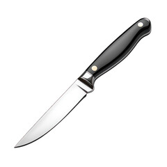 A sharp kitchen knife with a sleek black handle for food preparation.