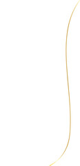 Elegant Golden Thread Line Art
