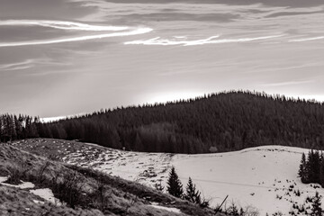 Landscapes - Forest - Europe, Romania, Suceava region 