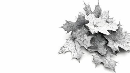 Gray and White Autumn Leaves Piled on a Clean White Surface