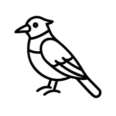 blue jay icon, blue jay line art - simple line art of blue jay, perfect for blue jay logos and icons and themed design