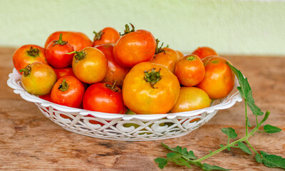 cesta branca com tomates vermelhos