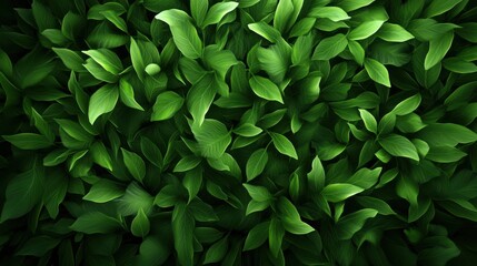 Obraz premium Lush Green Leaves Background Ideal for Nature Themes, Organic Designs, and Eco-Friendly Concepts