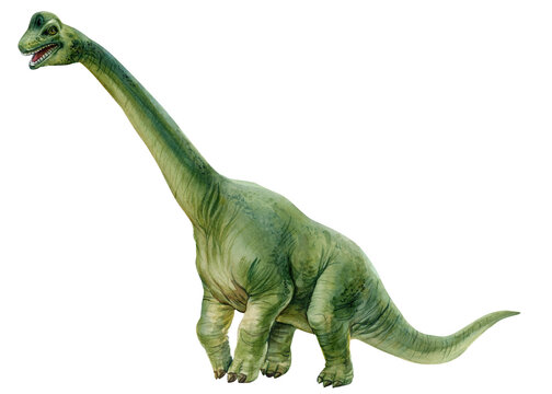 watercolor dinosaurs brachiosaurus dinosaur watercolor illustration. Hand-painted prehistoric Isolated white background