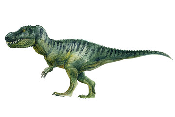 Fototapeta premium Watercolor dinosaurs tyrannosaurus isolated on white, prehistoric animals, triceratops, t-rex green dinosaur 