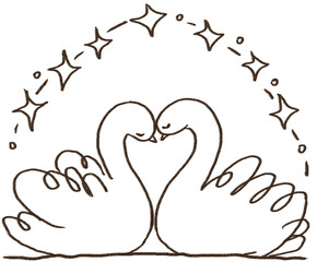 two swans on the lake