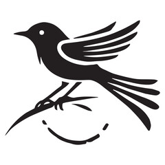 Silhouette of a bird on white background	