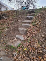 hill, stone steps, dog in clothes on a walk