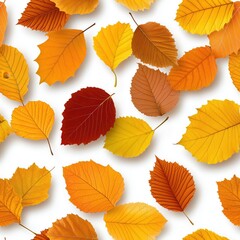 Fototapeta premium Colorful autumn leaves scattered on a white background showcasing nature's beauty and seasonal change
