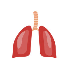 Human internal lungs organ. Illustration of human lungs. Vector illustration 