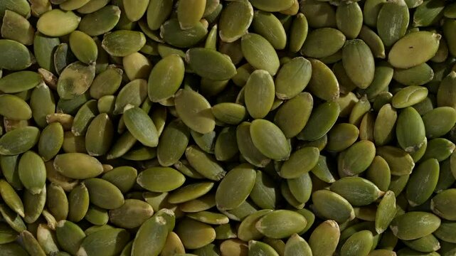Macro video of pumpkin seeds on rotating disc. Close up of bunch of pumpkin seeds.