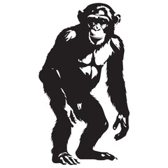 A striking, full-body silhouette of a chimpanzee, rendered in grayscale, showcasing its muscular physique and expressive stance.