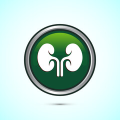 Kidney icon design illustration. Human organ icon, Kidney care logo symbol. Green color round button design