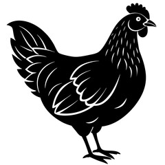 Black Hen Silhouette Vector illustration