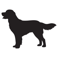 Golden Retriever Dog Vector silhouette illustration black

