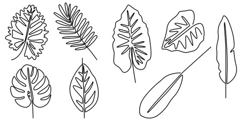 Tropical leaves in oneline drawing style, black and white tropical drawings, Set of Tropical leaves isolated continuous one line drawing, Tropical Leaves Drawing, Outline tropic palm leaf set. One. 
