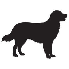 Golden Retriever Dog Vector silhouette illustration black

