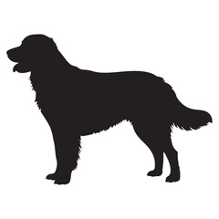 Golden Retriever Dog Vector silhouette illustration black

