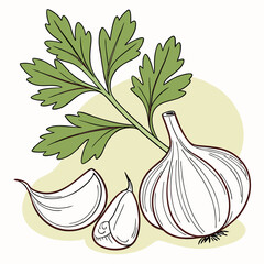 garlic and parsley isolated