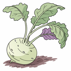 illustration of an eggplant