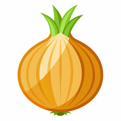 onion isolated on white