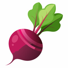 beetroot isolated on white background