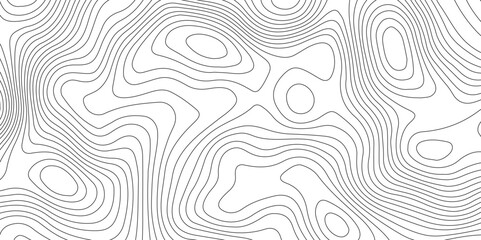 Fototapeta premium Topography and geography map grid abstract backdrop, Modern design with White background. 