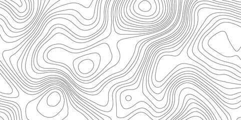 Topography and geography map grid abstract backdrop, Modern design with White background.	
