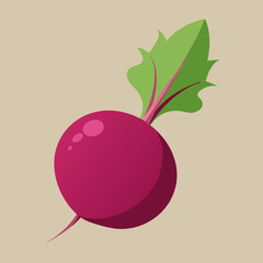 beetroot isolated on white background