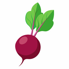 beetroot isolated on white background