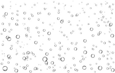Oxygen air bubbles  flow  in water on white  background.
