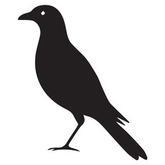 Silhouette of a bird on white background	