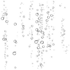 Oxygen air bubbles  flow  in water on white  background.