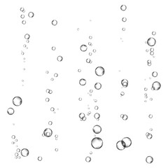 Oxygen air bubbles  flow  in water on white  background.