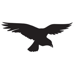 Fototapeta premium Silhouette of a bird on white background 