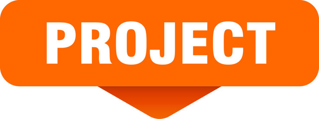 project sticker. project sign on transparent background