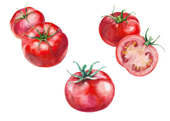 Watercolor tomato set isolated on white background, hand drawn illustration, graphic painting, design art, logo, label, watercolor, set, painting, logo, label, plant, paper, packaging, juice