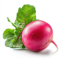 Radish Isolated