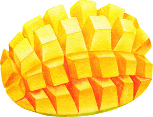 Diced watercolor mango isolated on a white background