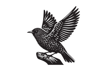 Detailed Bird Silhouette Illustration on a Perch